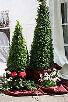 image016.jpg